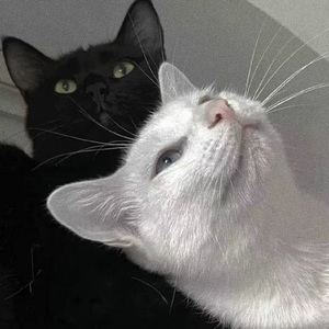 亚洲肏穴高潮喷水乱伦视频
