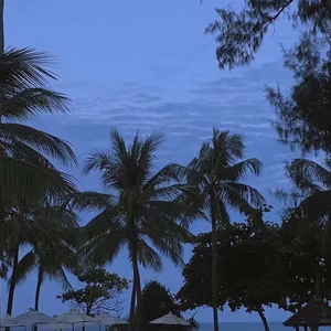 亚洲肏穴高潮喷水乱伦视频
